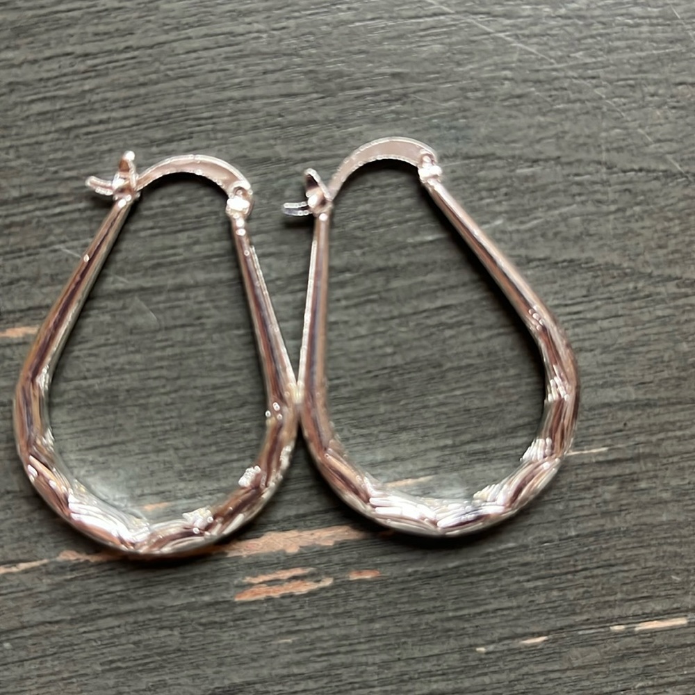 Nwt earrings